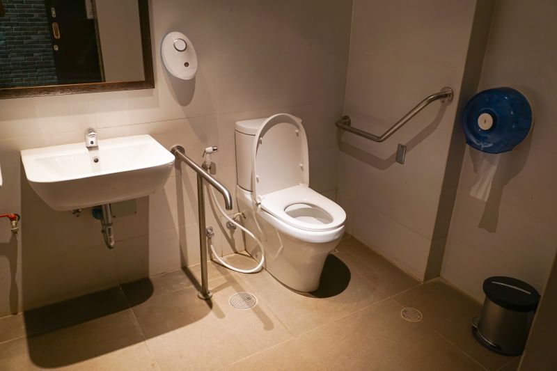Smart Toilets and Bidets